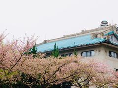 -武汉大学-樱园