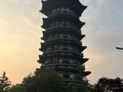 -洋湖国家湿地公园