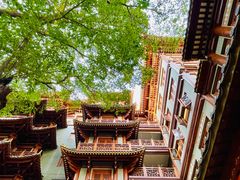 -大佛古寺