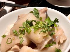 -金燕岛潮州酒楼