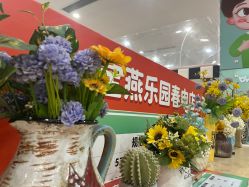 -宝燕乐园(春申店)