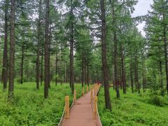 -塞罕坝国家级自然保护区