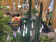 -润园四季椰子鸡火锅(南山海岸城店)