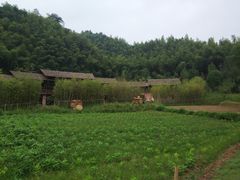 -常德桃花源景区