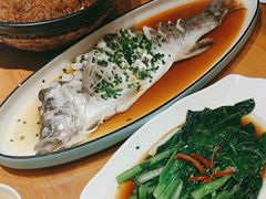 -红果树(江光店)
