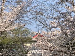 -南京林业大学-图书馆