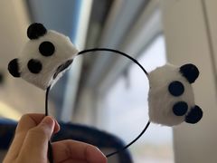 -都江堰中华大熊猫苑