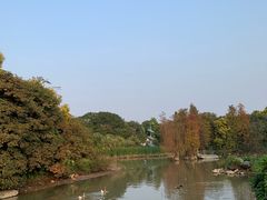 -海珠湖公园