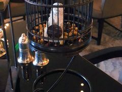 巧克力石狮-王府半岛酒店·大堂茶座