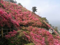 -木兰云雾山