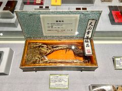 -北京中医药大学-中医药博物馆