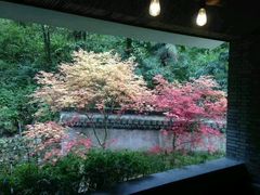 -虹口漂流