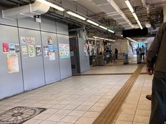 -中环4号渡轮码头