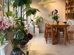 -花神·轻食简餐·咖啡馆·花卉绿植(荷兰花卉小镇店)