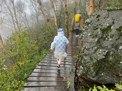 -白草畔自然风景区