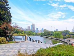 -古琴台