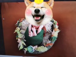 -西瓜庄园儿童摄影