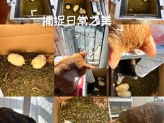 -新荟城(望京店)