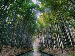 -同里国家湿地公园