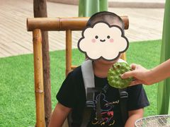 -世纪飞马幼儿园(西城校区)