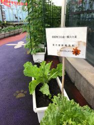 -梦田都市农场(银泰城店)