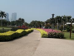 -白鹭洲公园