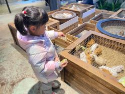 -酷嗒动物文化乐园(cutezoo西溪乐天城店)