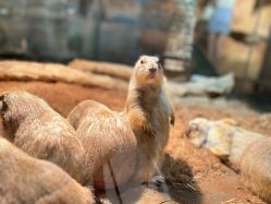 -Zoolung Zoolung动物主题公园(海信广场店)