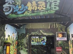 -广州长隆飞鸟乐园