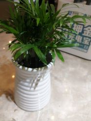 -M Hair造型