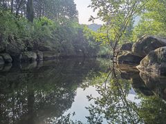 -重庆彩云湖湿地公园