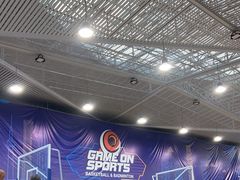 -悦狮体育俱乐部·青少年篮球·羽毛球培训(天通苑校区)