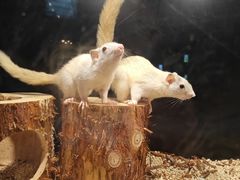 -太平洋海底世界