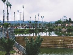 -枫香湖儿童公园