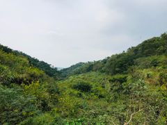 -许家山
