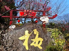 -无锡梅园公园