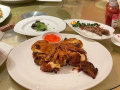 -喜来登由由大酒店九州膳坊中餐厅