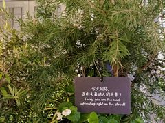 -比斯特上海购物村精品奥特莱斯