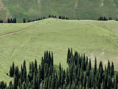 -新疆那拉提国家旅游度假区