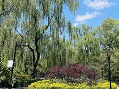 -玲珑塔公园