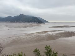 -北岐滩涂