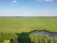-南大港湿地风景区