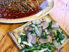 藿香豆瓣鱼-青城甲(青城山店)