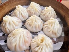 -莱莱小笼·乔艾