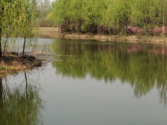 iphone_upload_pic-沈阳鸟岛