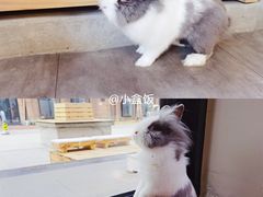 -小意思咖啡店(草桥店)