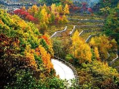 -白草畔自然风景区