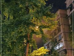 -太平洋影院(西村店)