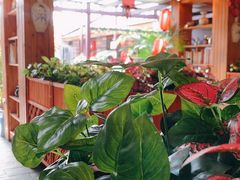 -丽江庭院之爱在路上(西单店)