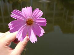 -云南滇池花园国际大酒店温泉